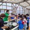 【保育・幼稚部】海ぶどう採り体験